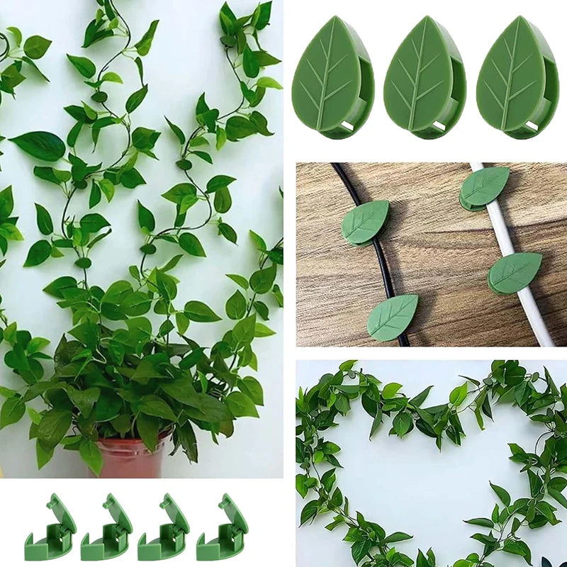 Oceans ® 10 Pcs Plant Climbing Wall Fixture Clips – Self-Adhesive Vine Holder Hooks