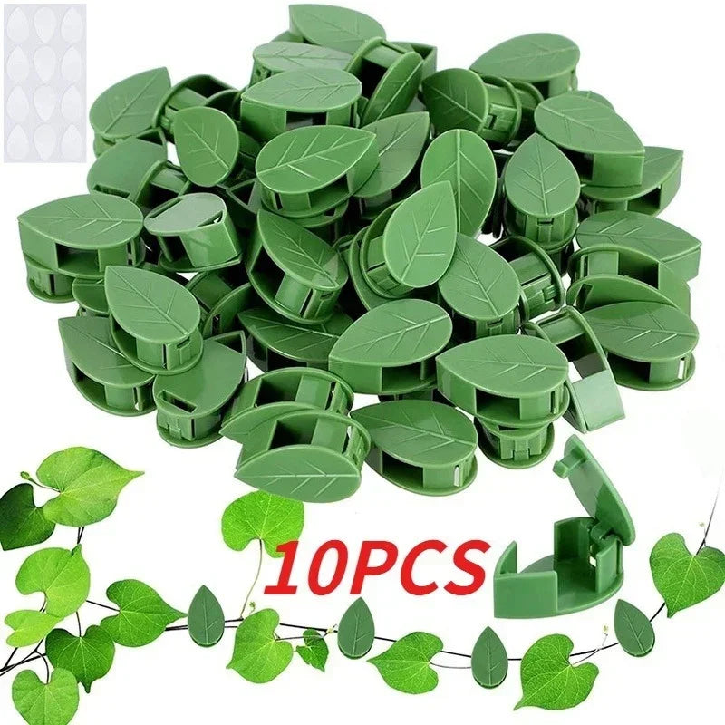 Oceans ® 10 Pcs Plant Climbing Wall Fixture Clips – Self-Adhesive Vine Holder Hooks