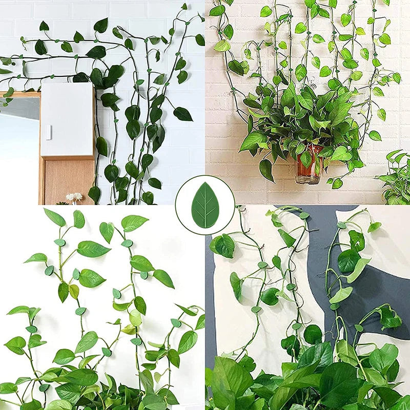 Oceans ® 10 Pcs Plant Climbing Wall Fixture Clips – Self-Adhesive Vine Holder Hooks