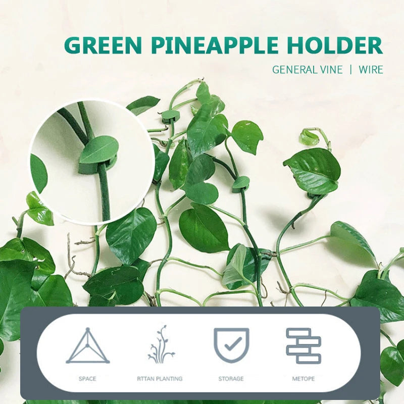 Oceans ® 10 Pcs Plant Climbing Wall Fixture Clips – Self-Adhesive Vine Holder Hooks